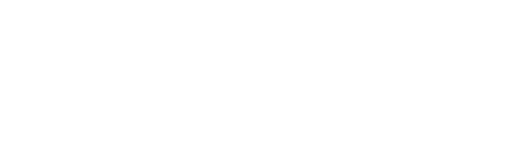 Cyber-SSI